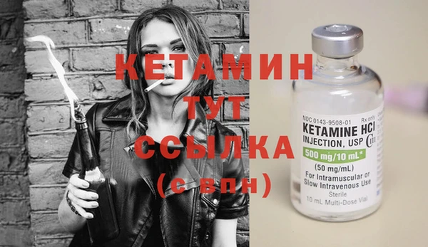прущие грибы Снежногорск