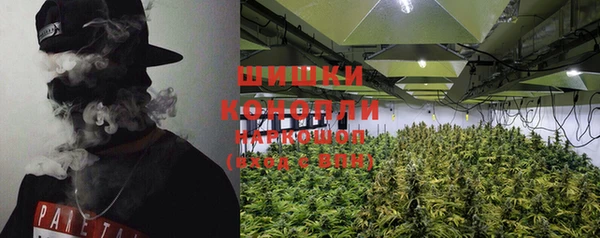 трава Слюдянка