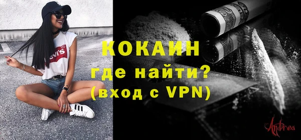 прущие грибы Снежногорск