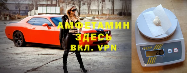 трава Слюдянка
