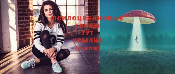 дживик Данков